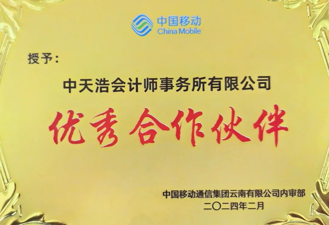 优秀合作伙伴2024.jpg